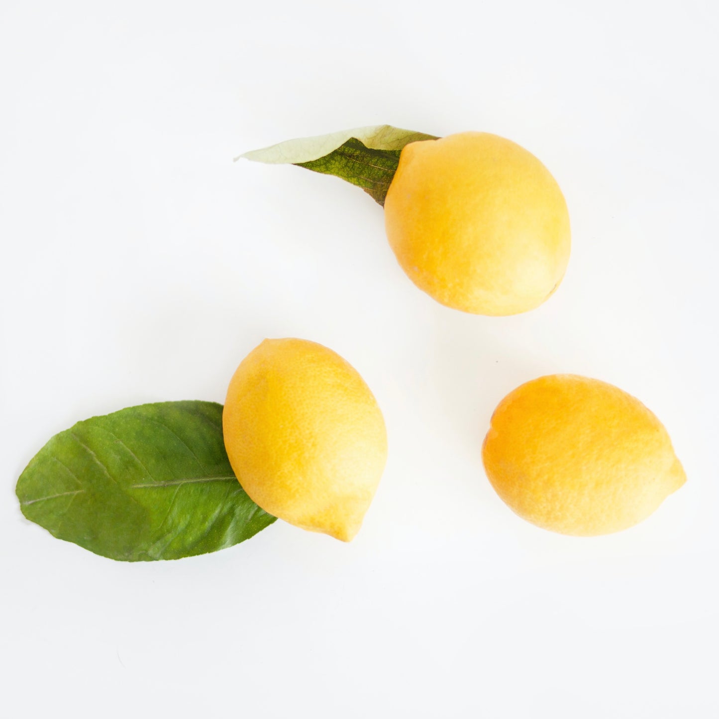 Lemon infused Olive Oil